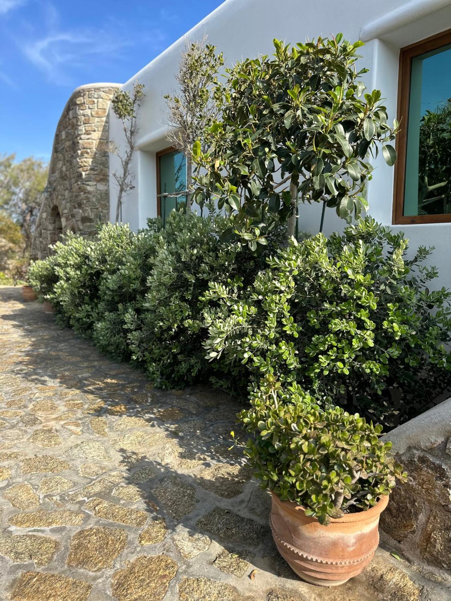 Divers House Agrari (Mykonos) Exterior foto